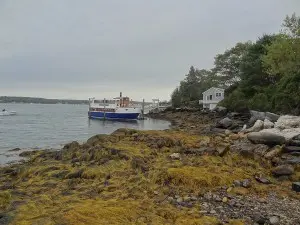 Cabbage Island Wedding