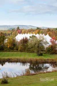 Vinfest 2014