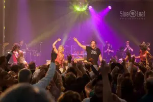 Vinfest 2014