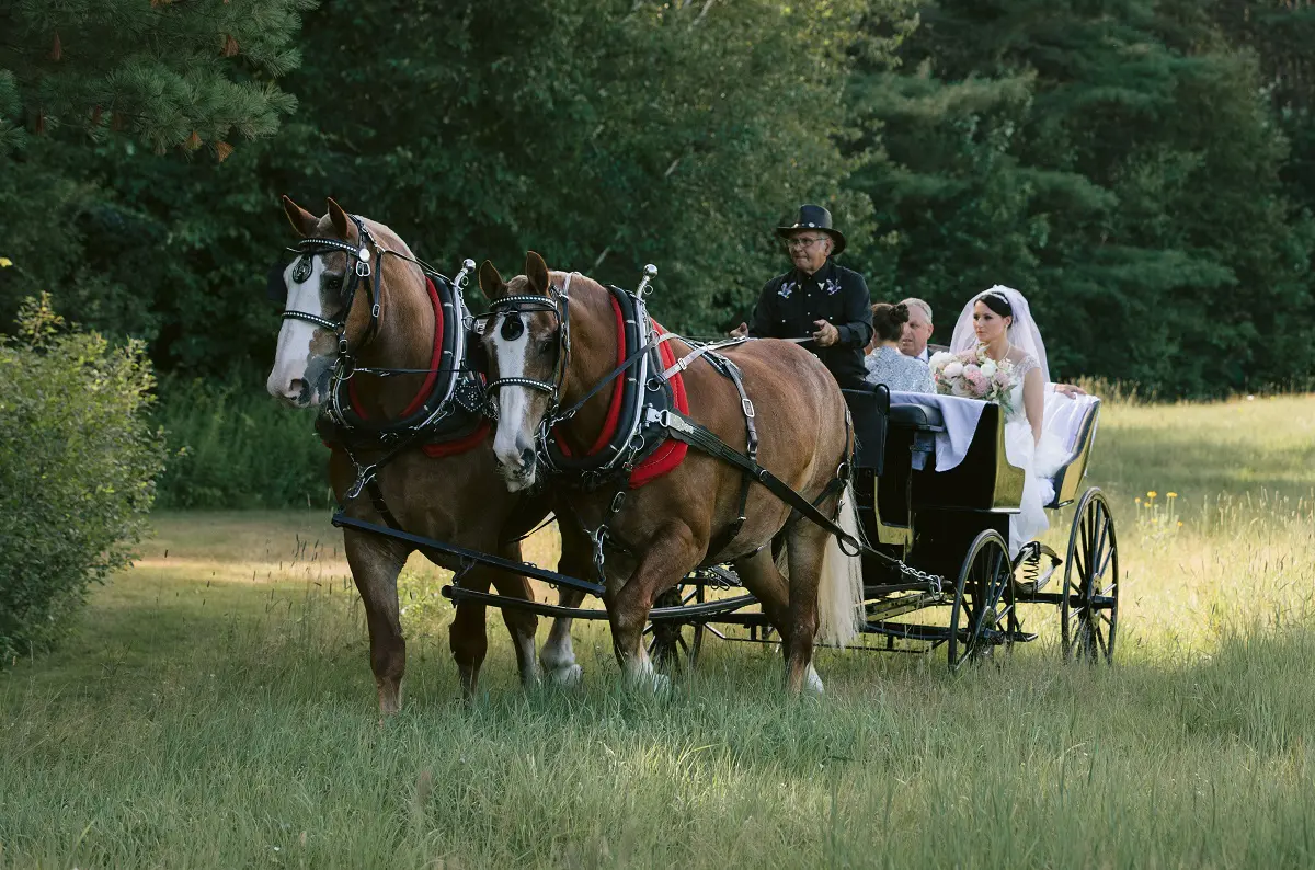 Elegant Wedding at Barn At Flanagan Farm