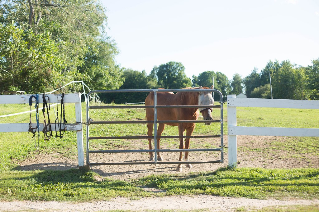 Maine Farm Wedding