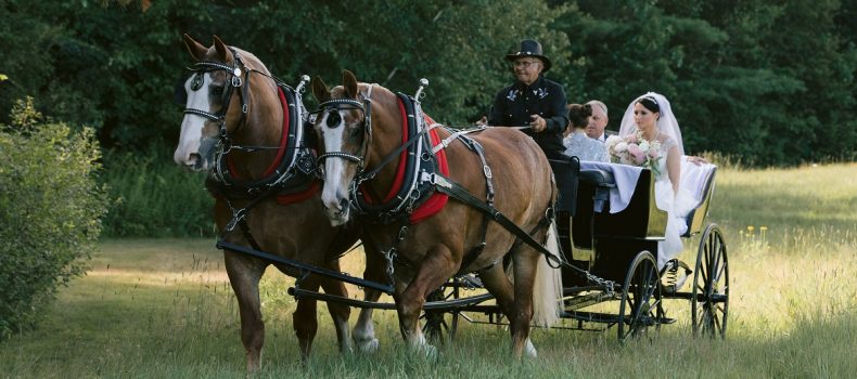 Elegant Wedding at Barn At Flanagan Farm